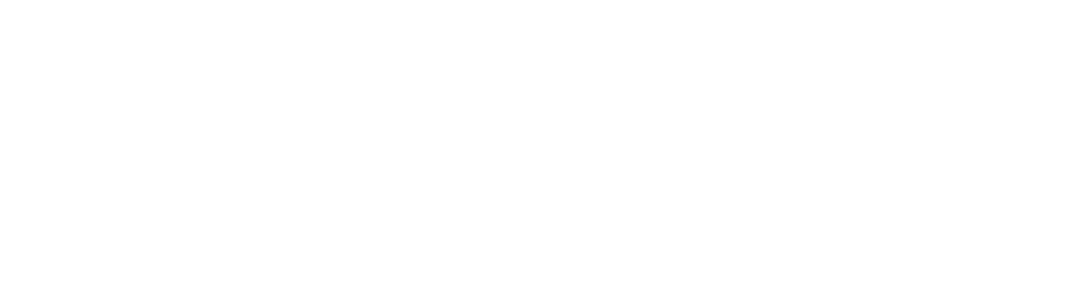 Fawaz Homsi