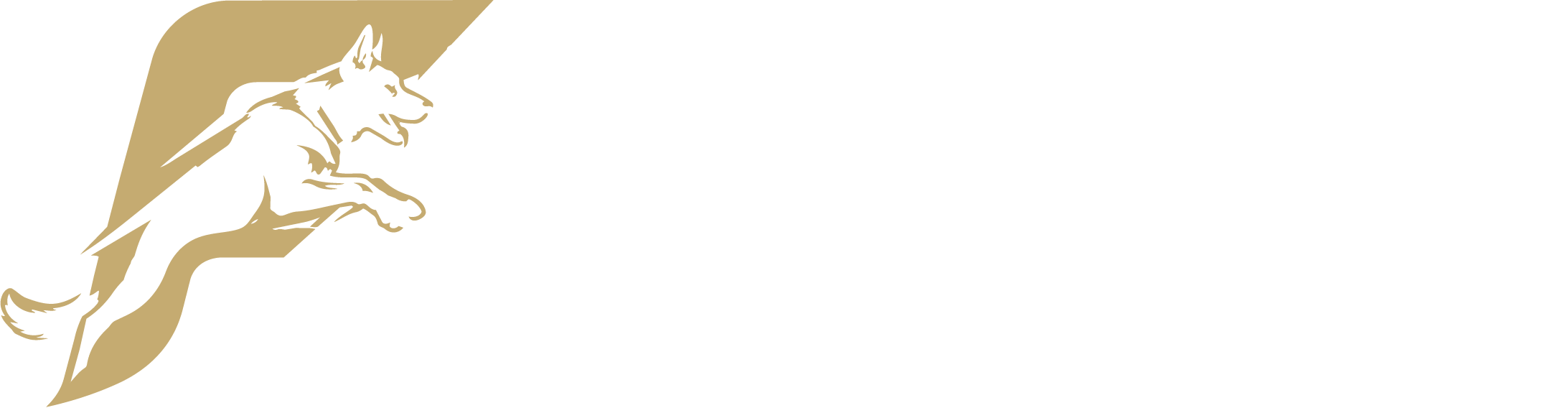 Fawaz Homsi